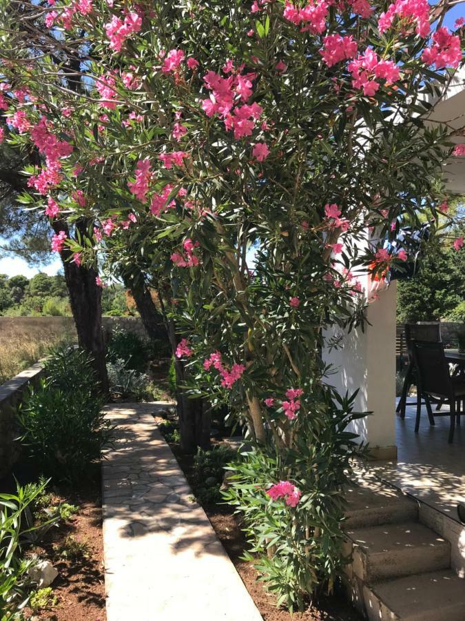 Holiday Home Nova Novaglia Esterno foto